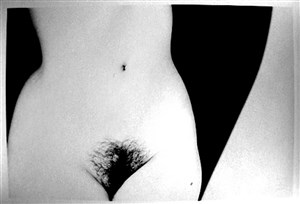 Image description is not available for 2011.018